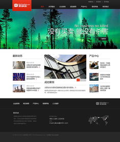 现代企业网站设计 网页与网站的差异化实践